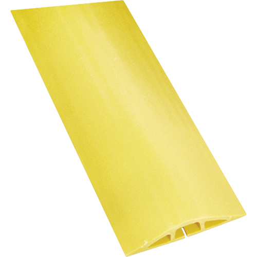Couvre-c&acirc;bles FloorTrak, 5' x 3" x 0,75" Pronet Distribution
