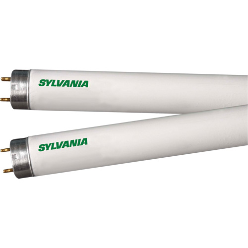 Lampes fluorescentes, 32 W, T8, 4100 K, Longueur de 48" Pronet Distribution
