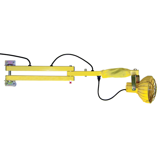 Dock Loading Lights with Flexible Arm, Incandescent Light, 40" Arm Pronet Distribution
