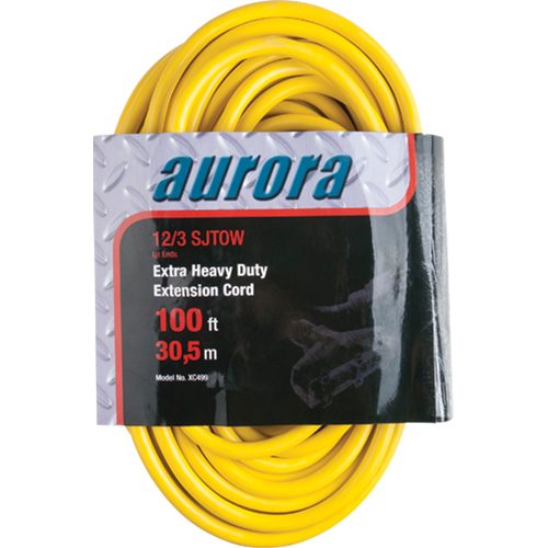 Cordon rallonge en vinyle avec indicateur lumineux, Ext&eacute;rieur, SJTOW, AWG 12/3, 15 A, 3 prise(s), 100' Pronet Distribution