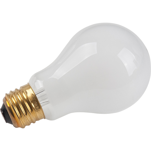 Economy Line Incandescent Lamps Pronet Distribution