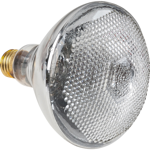 Economy Line Incandescent Lamps Pronet Distribution