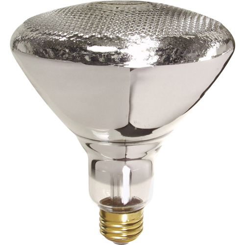 Economy Line Incandescent Lamps Pronet Distribution