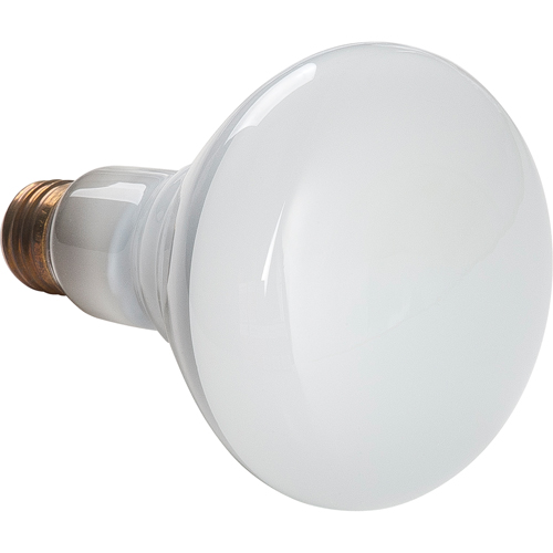 Economy Line Incandescent Lamps Pronet Distribution