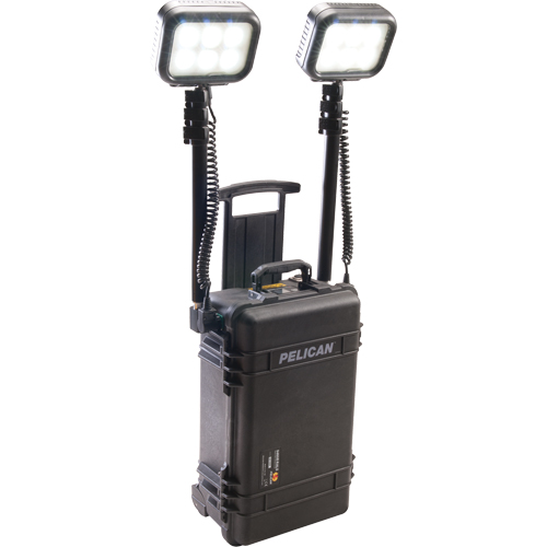 Syst&egrave;mes d'&eacute;clairage pour zones recul&eacute;es 9460, DEL, 12 000 lumens, Boîtier en Plastique Pronet Distribution