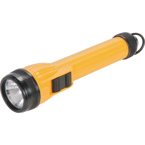 Lampe de poche AFL100, DEL, 28 lumens, Piles AA Pronet Distribution