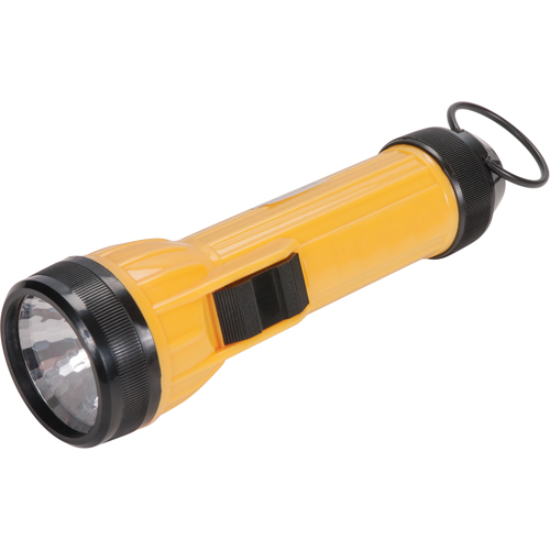 Lampe de poche AFL100, DEL, 35 lumens, Piles D Pronet Distribution