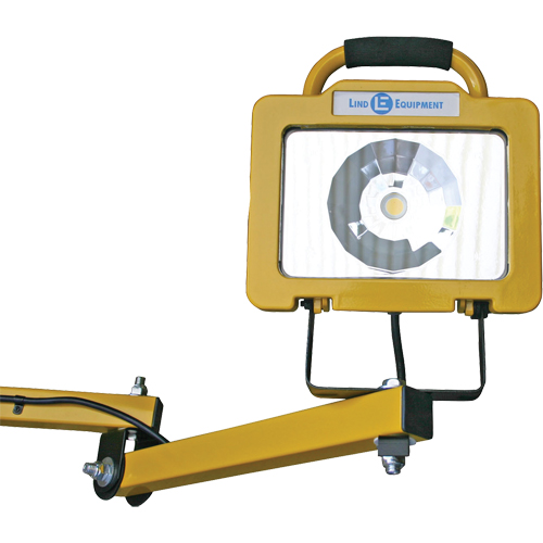 Heavy-Duty Dock Light, 40" Arm, 38 W, LED Lamp, Metal Pronet Distribution