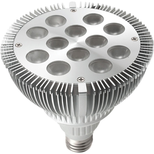 Dock Lights - Accessories, PAR38 Pronet Distribution