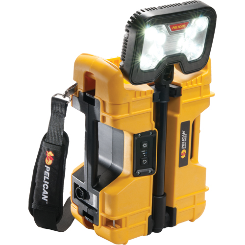 Syst&egrave;mes d'&eacute;clairage &agrave; distance 9480, DEL, 41,1 W, 4000 lumens, Boîtier en Plastique Pronet Distribution