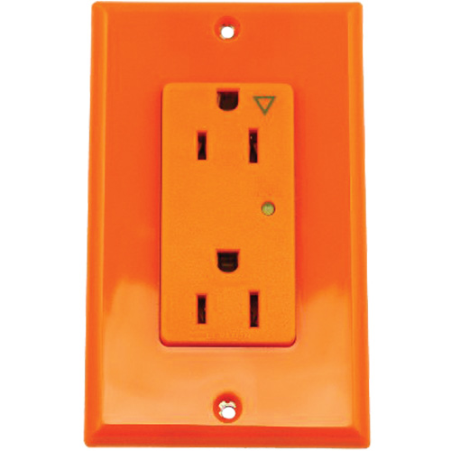 Prise isol&eacute;e avec protection contre les surcharges Decora Pronet Distribution