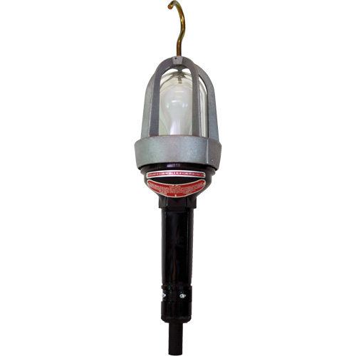 Baladeuses pour emplacements dangereux Pronet Distribution