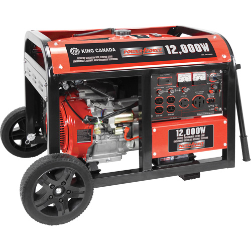 Electric Start Gas Generator with Wheel Kit, 12000 W Surge, 9000 W Rated, 120 V/240 V, 31 L Tank Pronet Distribution