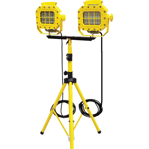 Explosion Proof Floodlight with Tripod, LED, 40 W, 5600 Lumens, Aluminum Housing Pronet Distribution