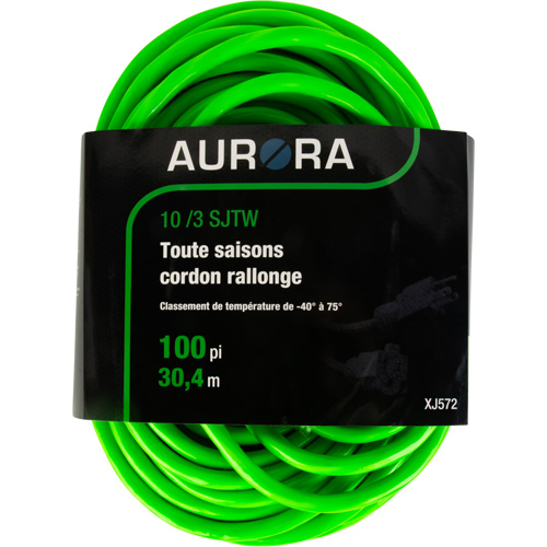 Cordon rallonge de calibre industriel, Toutes saisons, SJTW, AWG 10/3, 15 A, 100' Pronet Distribution