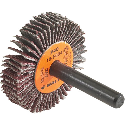 Disque &agrave; lamelles Coolcut, Oxyde d'aluminium, Grain 60, 1-1/2" x 3/8" x 1/4" Pronet Distribution