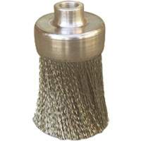 Brosses plates, rondes ou Roto Pronet Distribution