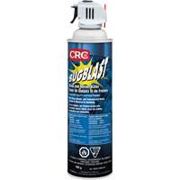 Insecticide Bug Blast, 397 g, &agrave; base de solvant Pronet Distribution