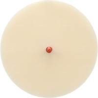 Disque Scotch-Brite 7502 pour retrait de colle et de bandes de moulage, 6" dia. Pronet Distribution