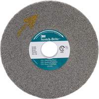 Meule d'&eacute;barbage EXL Scotch-Brite, 8" x 1", Arbre de 3" Pronet Distribution