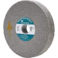 Meule d'&eacute;barbage EXL Scotch-Brite, 6" x 1", Arbre de 1" Pronet Distribution