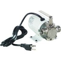 Non-Submersible, Self-Priming Plated Brass Transfer Pumps - Pump Only, 115 V, 360 GPH, 1/10 HP Pronet Distribution