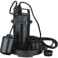 Thermoplastic Submersible Sump Pump, 2560 GPH, 115 V, 4.6 A, 1/3 HP Pronet Distribution