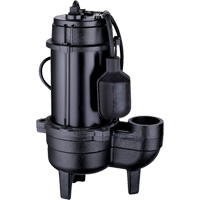 Cast Iron Sewage Pump, 120 V, 9.5 A, 6000 GPH, 1/2 HP Pronet Distribution