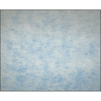 Filtres en m&eacute;dias synth&eacute;tiques &agrave; arrestance &eacute;lev&eacute;e, Tampon, MERV 5, 24" la x 2" p x 12" h Pronet Distribution