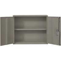 Wall Mounted Cabinet, Steel, 2 Shelves, 30" H x 36" W x 12" D, Grey Pronet Distribution
