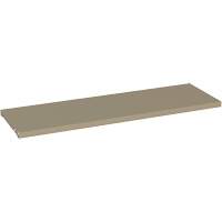 Additional Shelf for 88 Series Cabinets, 36" x 12", 150 lbs. Capacity, Steel, Beige Pronet Distribution