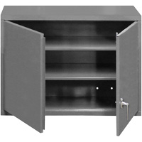 Wall-Mounted Cabinet, 27" H x 29-7/8" W x 13-11/16" D, 2 Shelves, Steel, Grey Pronet Distribution