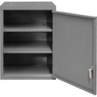 Wall-Mounted Cabinet, 27" H x 13-11/16" W x 18" D, 2 Shelves, Steel, Grey Pronet Distribution