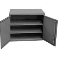 Wall-Mounted Cabinet, 27" H x 13-11/16" W x 35-7/8" D, 2 Shelves, Steel, Grey Pronet Distribution