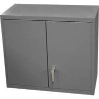 Wall-Mounted Cabinet, 27" H x 13-11/16" W x 35-7/8" D, 2 Shelves, Steel, Grey Pronet Distribution
