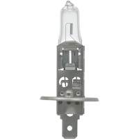 64155 Ampoule automobile de base, Halog&egrave;ne, 78 W, Blanc cass&eacute; Pronet Distribution