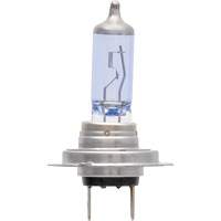 H7 SilverStar&reg; zXe Headlight Bulb, Halogen/HID, 56 W, White Pronet Distribution