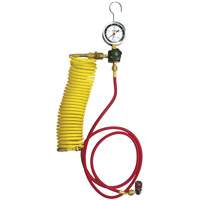 Automotive A/C Nitrogen Leak Test Kit with Regulator Pronet Distribution