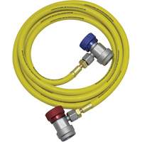 Ensemble flexible de rinçage pour syst&egrave;me de climatisation R134a Pronet Distribution