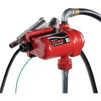 Pompe de transfert de carburant 12 V CC avec pistolet Pronet Distribution