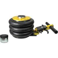 V&eacute;rin &agrave; coussin gonflable triphas&eacute; s&eacute;rie Pro, 2 tonne(s), 22" Hauteur &eacute;lev&eacute;e Pronet Distribution