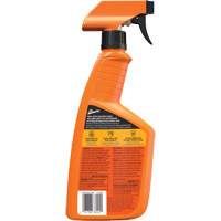 A&eacute;rosol nettoyant et protecteur pour l'automobile Original, 32 oz/946 ml, Bouteille &agrave; g&acirc;chette Pronet Distribution