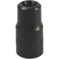 Douille Torx&reg; E-8 Pronet Distribution