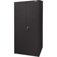 Armoire d'entreposage, Acier, 4 Tablettes, 66" h x 30" la x 15" P, Noir Pronet Distribution