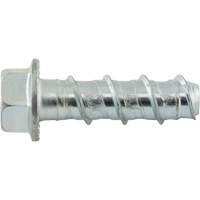 Boulons Wedge Bolts, Acier au carbone, 1/2" x 2" Pronet Distribution