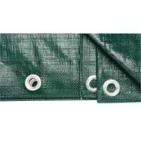Tarp, Heavy-Duty, Green, 8' x 6' x 9 mils Pronet Distribution
