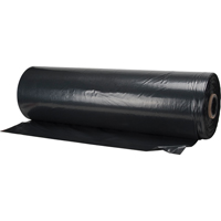 Garbage Bags, 3X Strong, 35" W x 49" L, 3 mils, Black Pronet Distribution