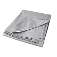 Tarp, Super Heavy-Duty, Silver, 10' x 8' x 12 mils Pronet Distribution