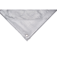 Tarp, Super Heavy-Duty, Silver, 10' x 8' x 12 mils Pronet Distribution