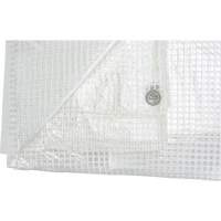 Clear Tarp, 12' x 10' x 8 mils Pronet Distribution